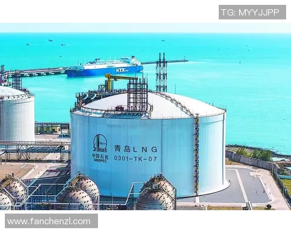 职业联赛分析LNG战队近期状态及表现评估实时新闻